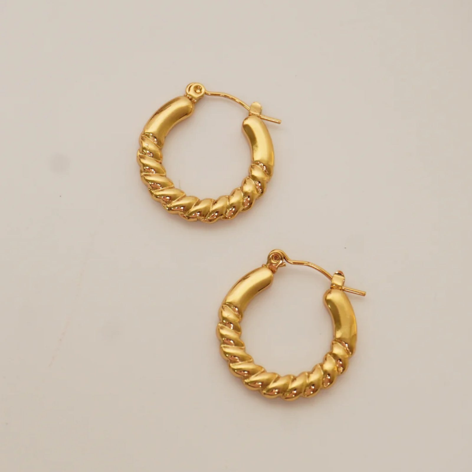Round Twist hoop Earrings